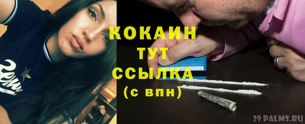 ПСИЛОЦИБИНОВЫЕ ГРИБЫ Новозыбков