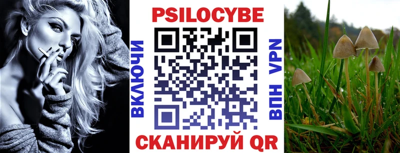 где продают наркотики  Петушки  Псилоцибиновые грибы мицелий 